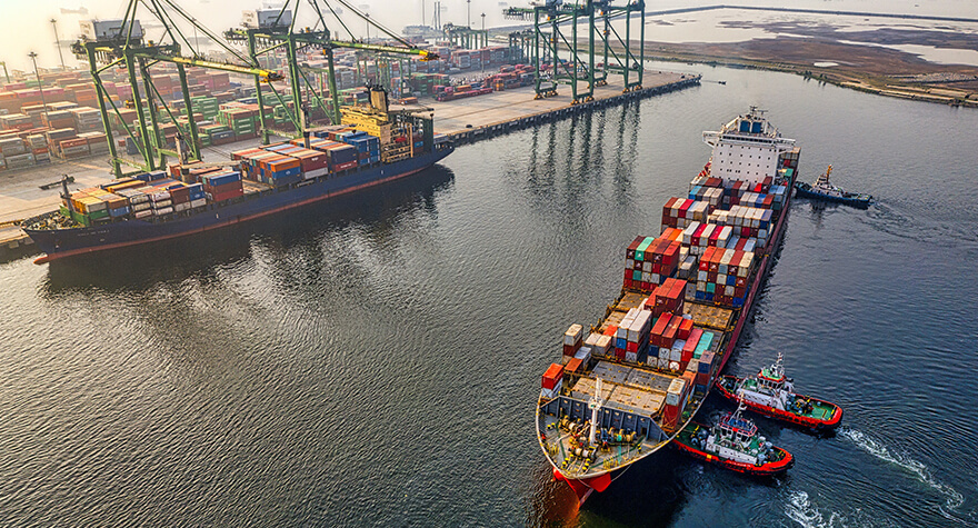 SkytrustLogistics
