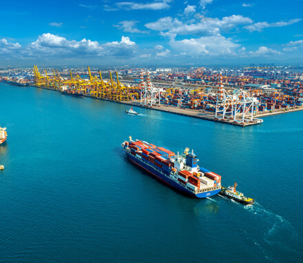 SkytrustLogistics